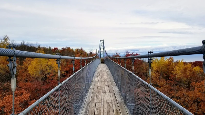 Collingwood scenic suspension bridge surrounded by fall foliage