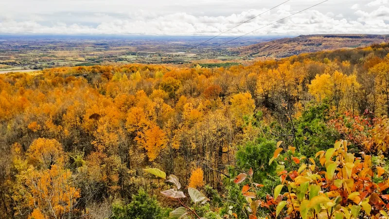 Expansive Ontario landscape painted in fall colours