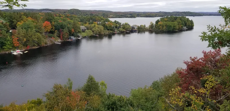 Aerial view of fall colours surrounding a pristine lake
