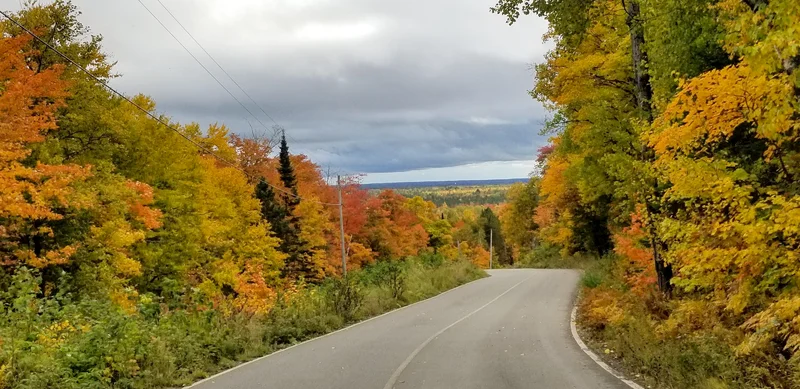 Scenic fall road lined with vibrant autumn trees near Toronto