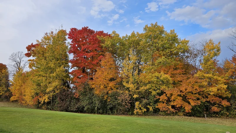 Golf course surrounded by colorful fall foliage in Ontario