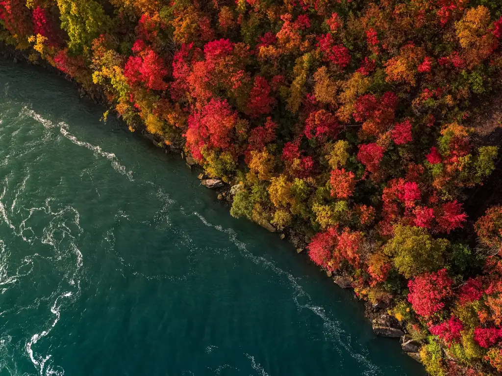 Aerial view of Niagara Escarpment with red and gold autumn trees