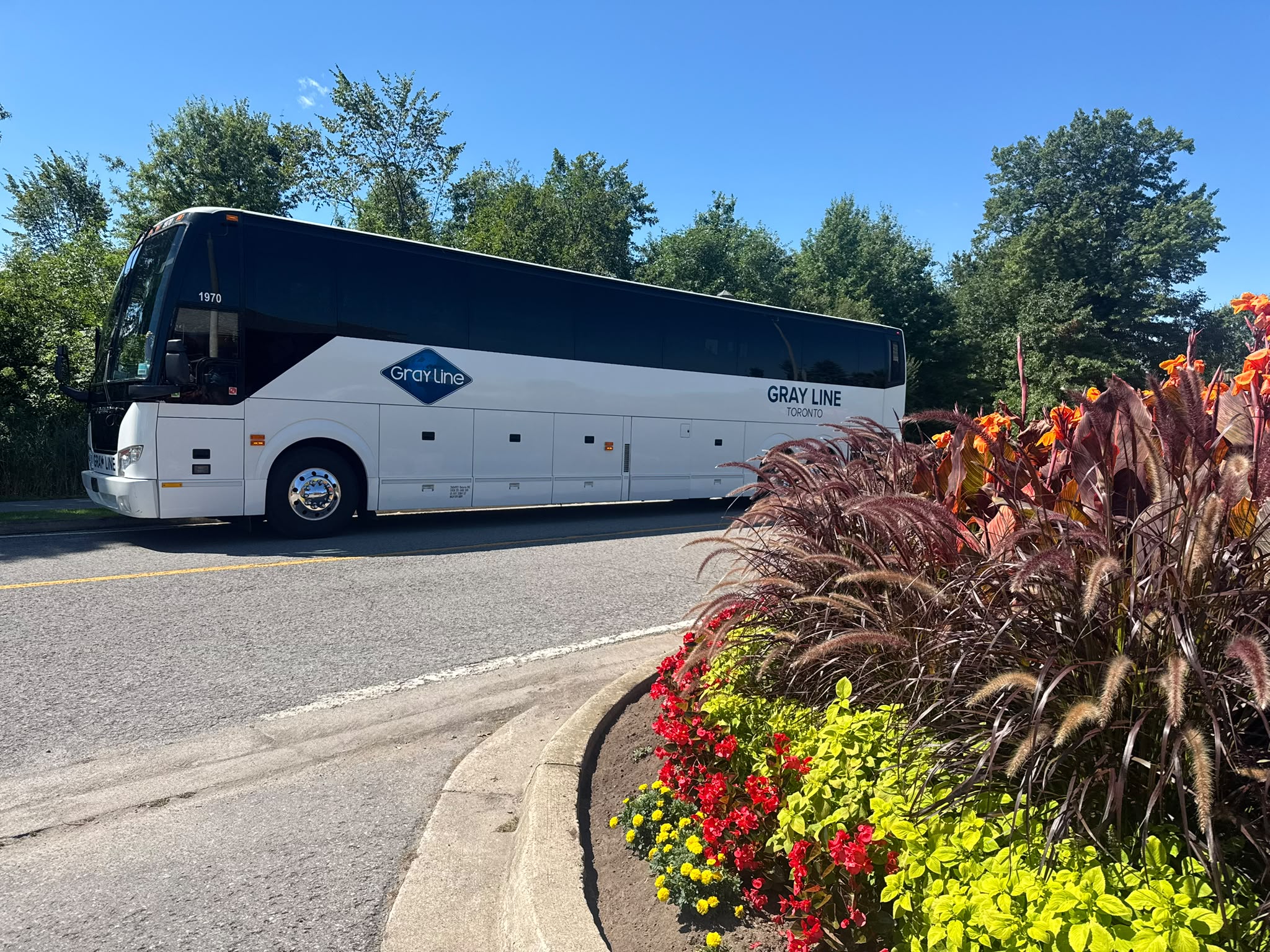 Tours, Charters, Boat, Journey behind the falls, Niagara Falls