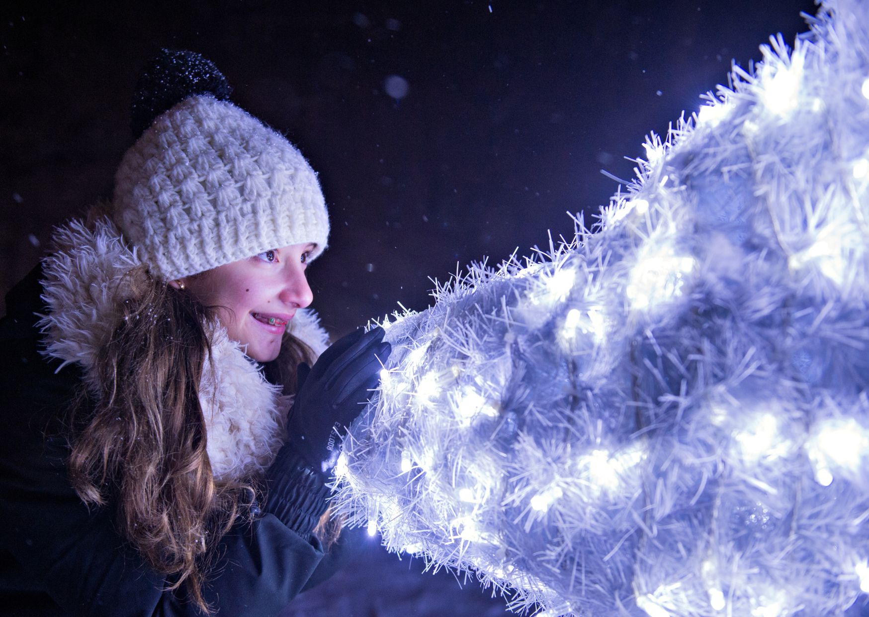 Niagara Festival of Lights tour; Niagara Falls winter tour; Toronto holiday day trip; Niagara Christmas lights tour; winter things to do near Toronto